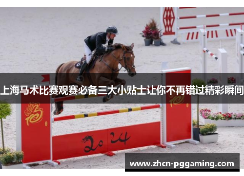 上海马术比赛观赛必备三大小贴士让你不再错过精彩瞬间