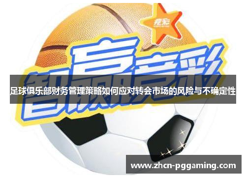 足球俱乐部财务管理策略如何应对转会市场的风险与不确定性 足球俱乐部财务管理策略如何应对转会市场的风险与不确定性