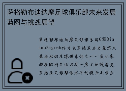 萨格勒布迪纳摩足球俱乐部未来发展蓝图与挑战展望