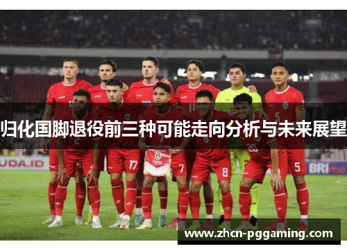 归化国脚退役前三种可能走向分析与未来展望