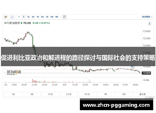 促进利比亚政治和解进程的路径探讨与国际社会的支持策略