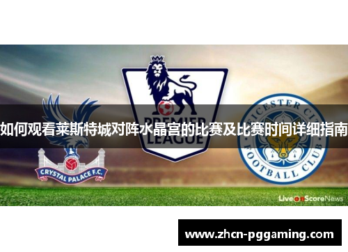 如何观看莱斯特城对阵水晶宫的比赛及比赛时间详细指南