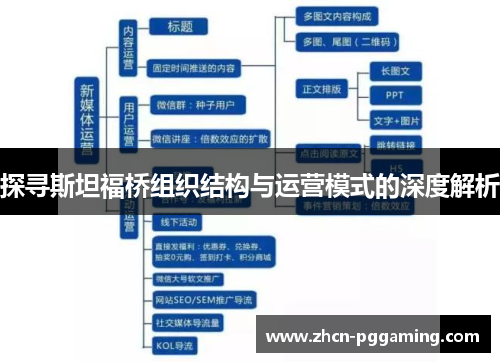 探寻斯坦福桥组织结构与运营模式的深度解析