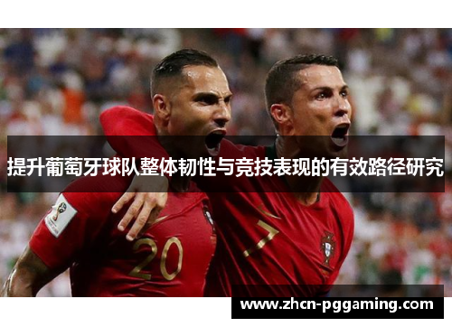 提升葡萄牙球队整体韧性与竞技表现的有效路径研究