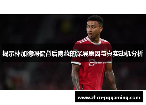 揭示林加德调侃背后隐藏的深层原因与真实动机分析