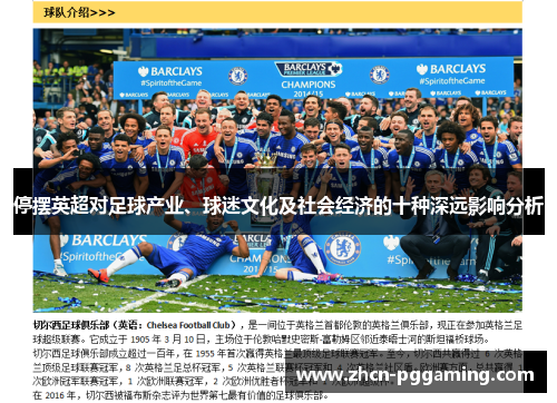 停摆英超对足球产业、球迷文化及社会经济的十种深远影响分析