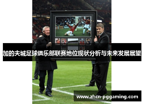 加的夫城足球俱乐部联赛地位现状分析与未来发展展望