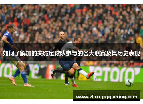 如何了解加的夫城足球队参与的各大联赛及其历史表现