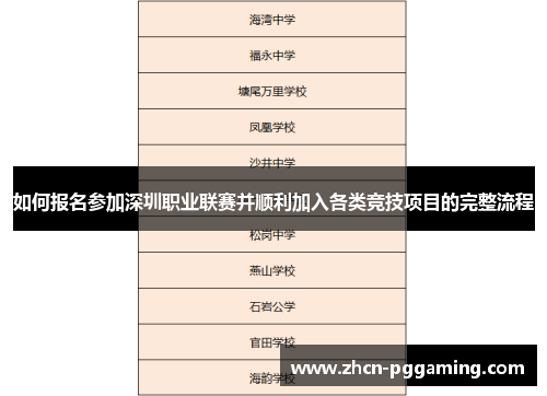 如何报名参加深圳职业联赛并顺利加入各类竞技项目的完整流程