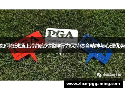 如何在球场上冷静应对挑衅行为保持体育精神与心理优势