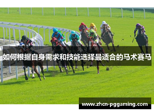 如何根据自身需求和技能选择最适合的马术赛马