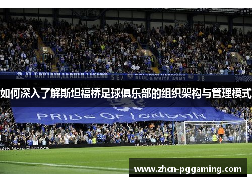 如何深入了解斯坦福桥足球俱乐部的组织架构与管理模式